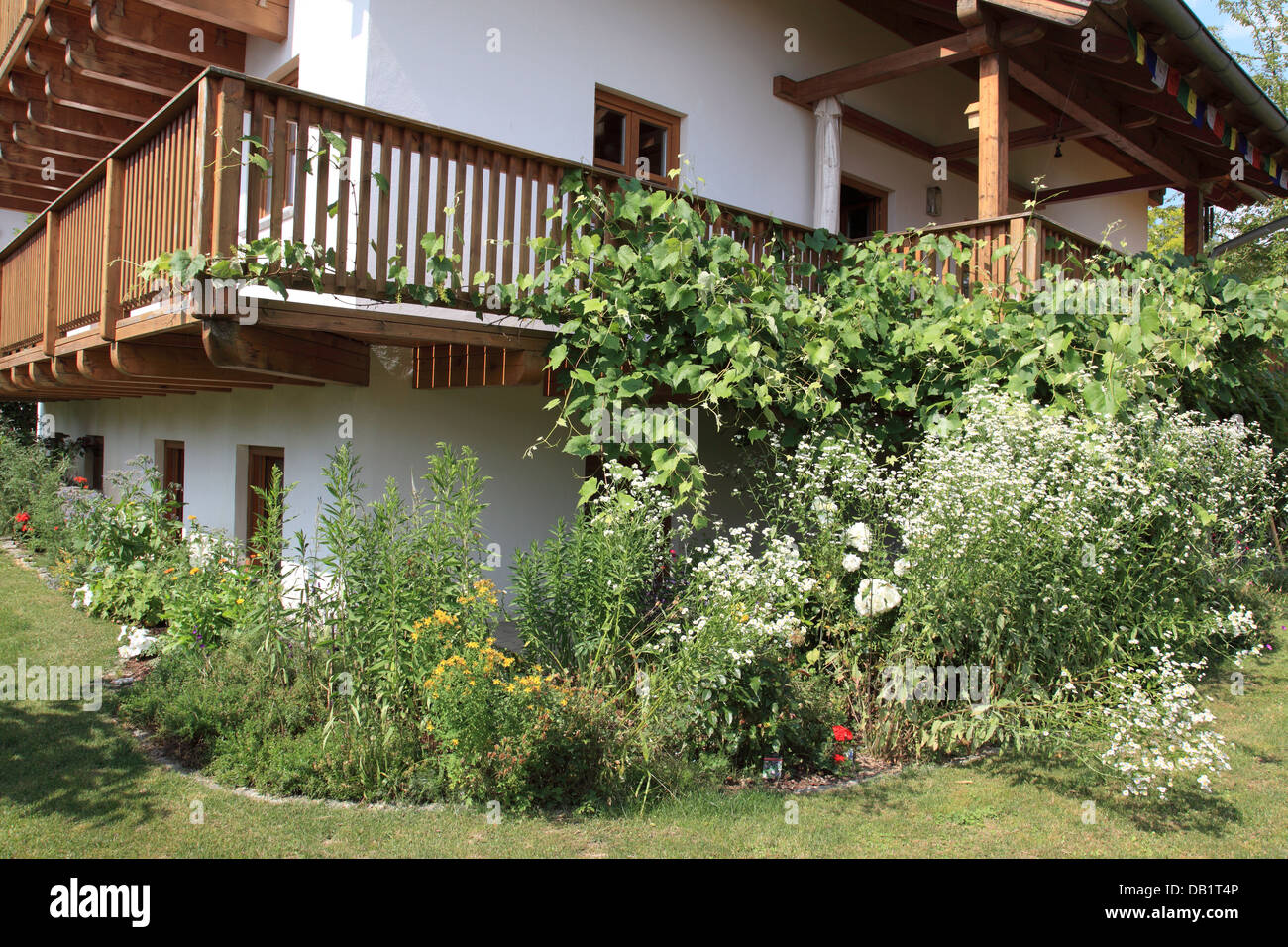 flowers in garden and balcony at a Bavarian country house. Photo by Willy Matheisl Stock Photo