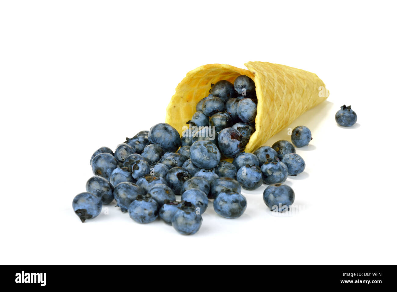 Blueberries in a waffle roll down Stock Photo