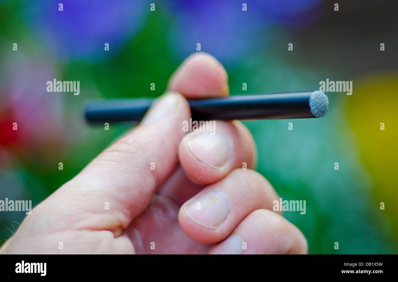 The Electronic Cigarette, a device that simulates the functions of a cigarette without the harmful chemicals. Stock Photo