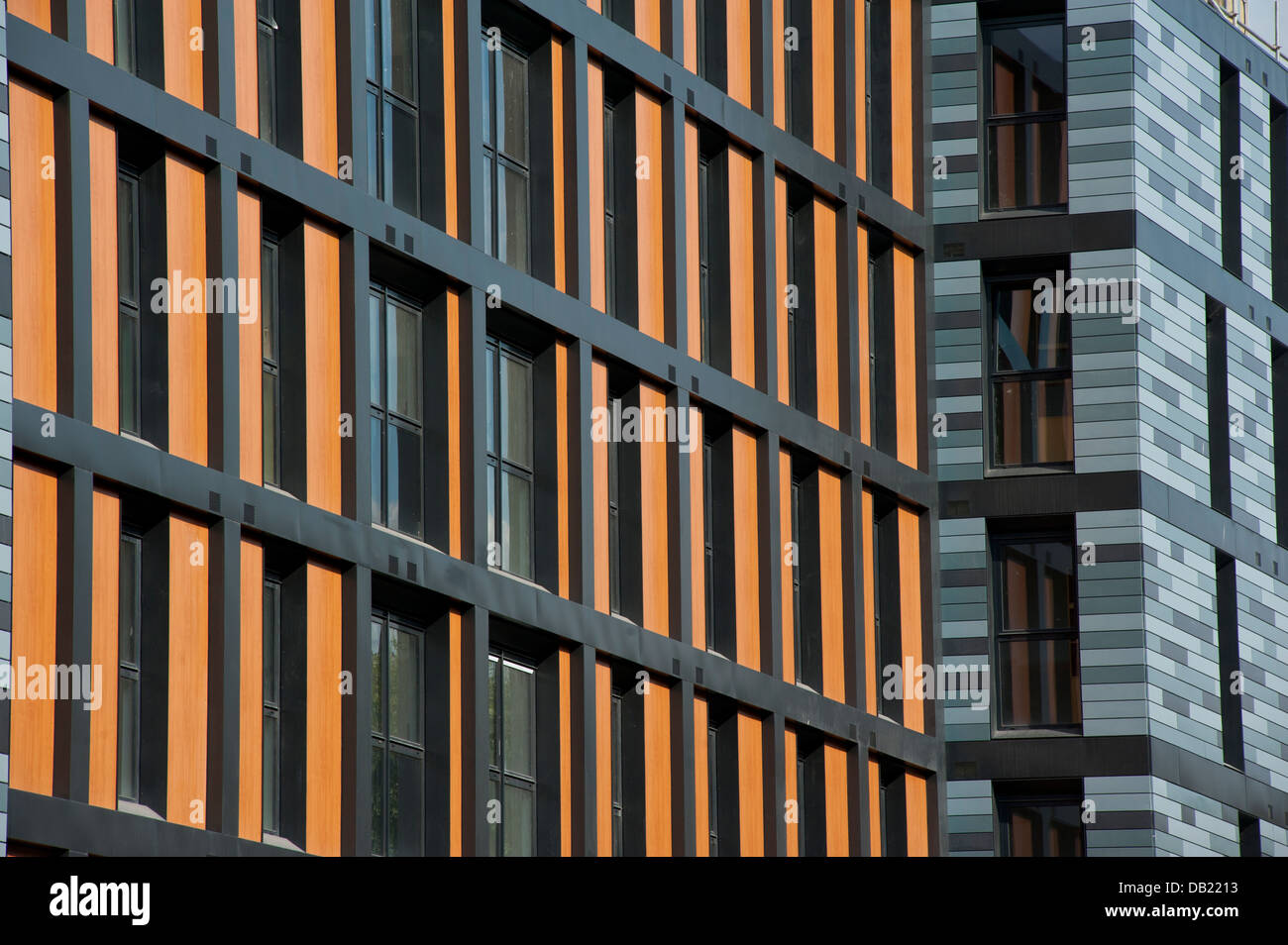 The orange and gray Stock Photo - Alamy