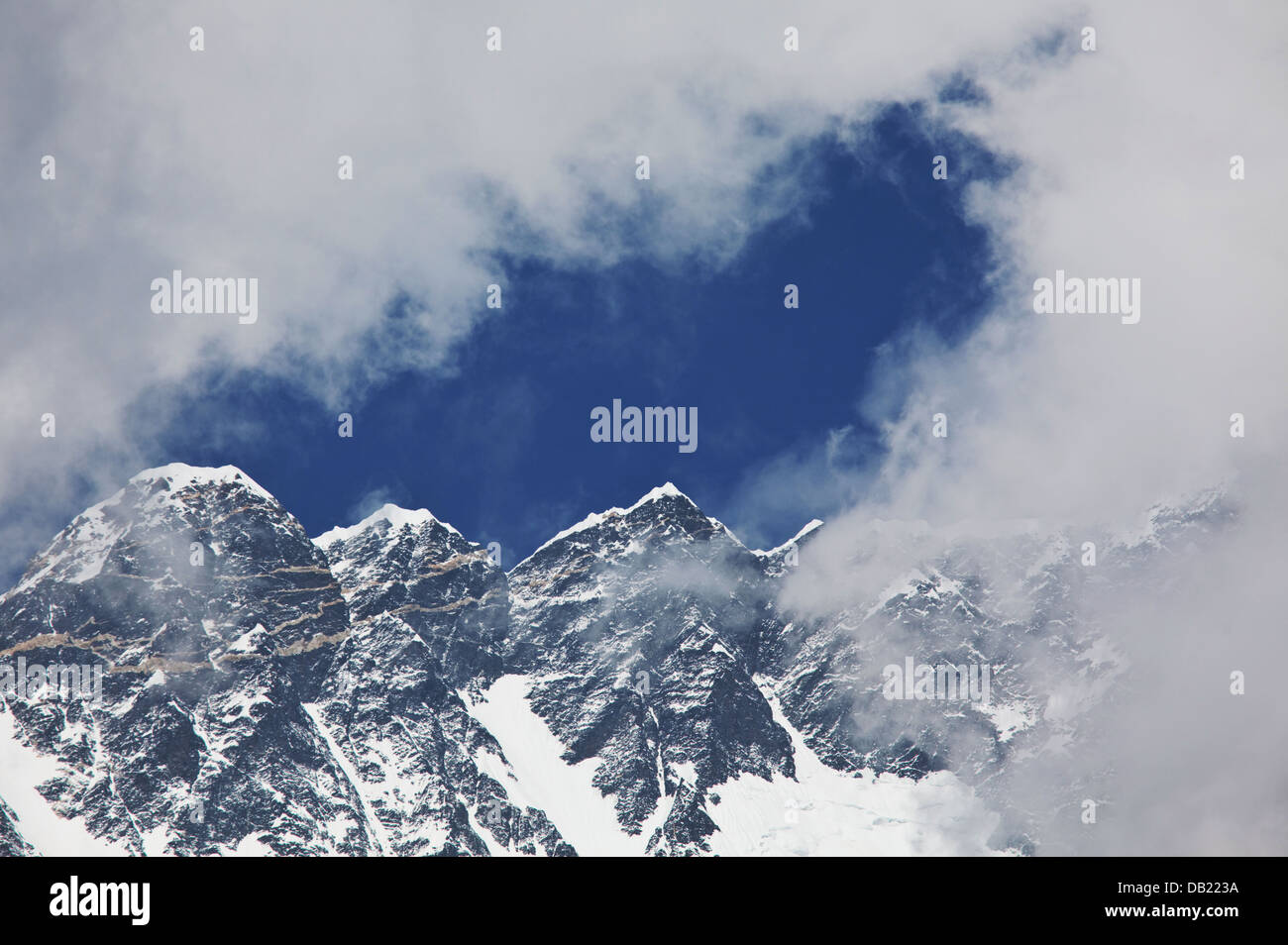 High crest hi-res stock photography and images - Alamy