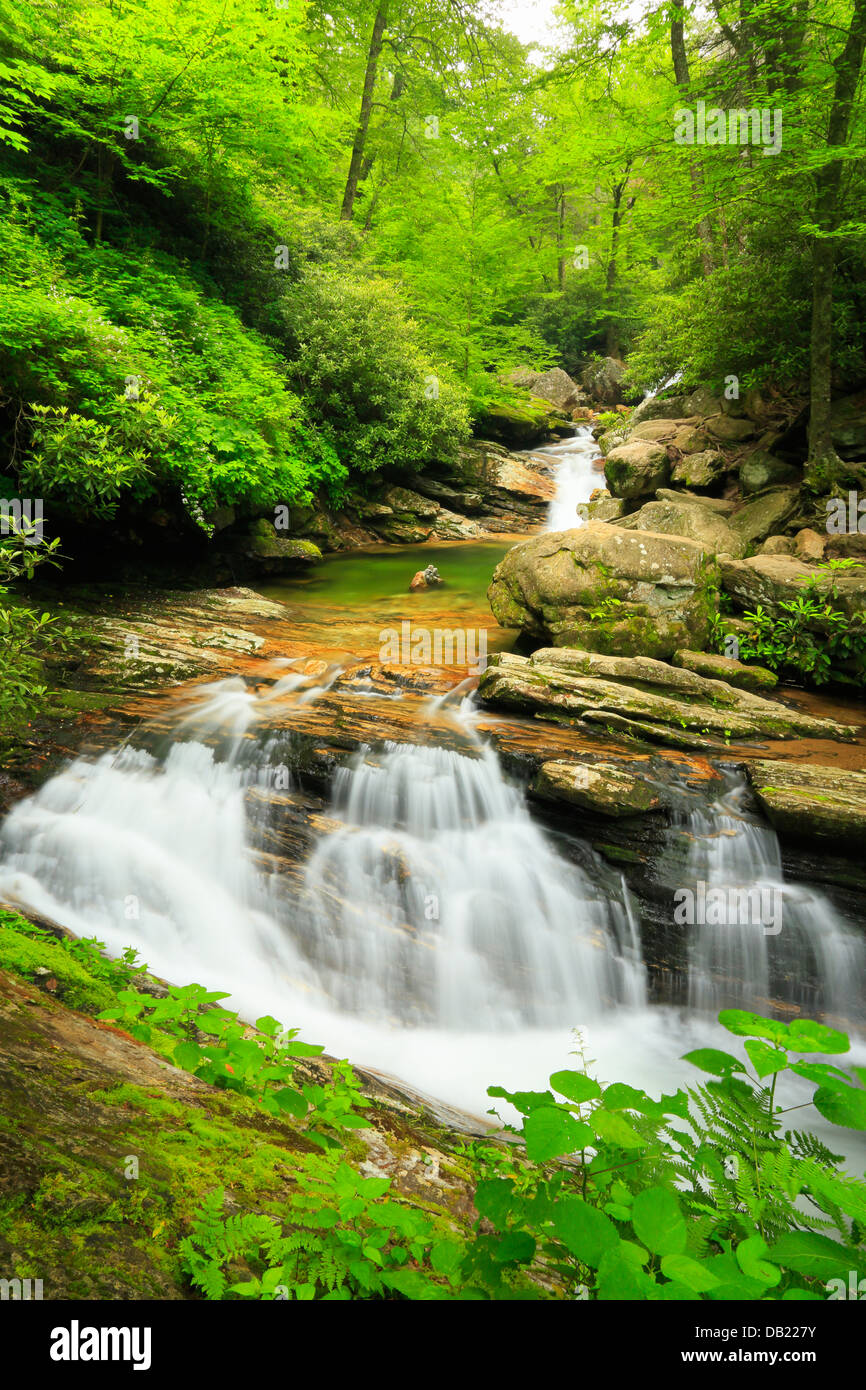 Skinny dip hires stock photography and images Alamy