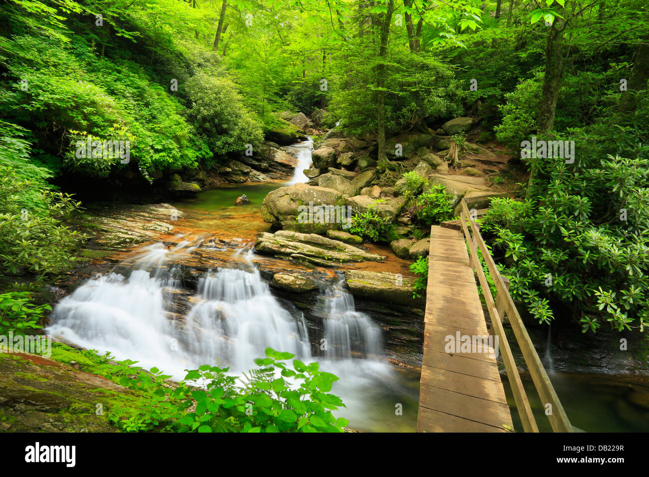 Skinny Dip Falls, Mountain To The Sea Trail, Blue Ridge Parkway, North Carolina, USA Stock Photo