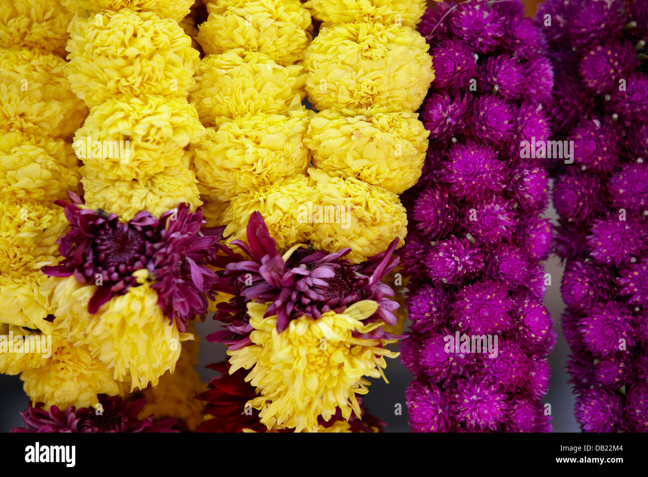 Garlands of flowers hi-res stock photography and images - Alamy