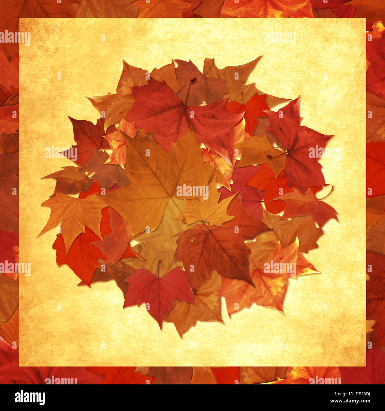 Autumn leaves circle background Stock Photo