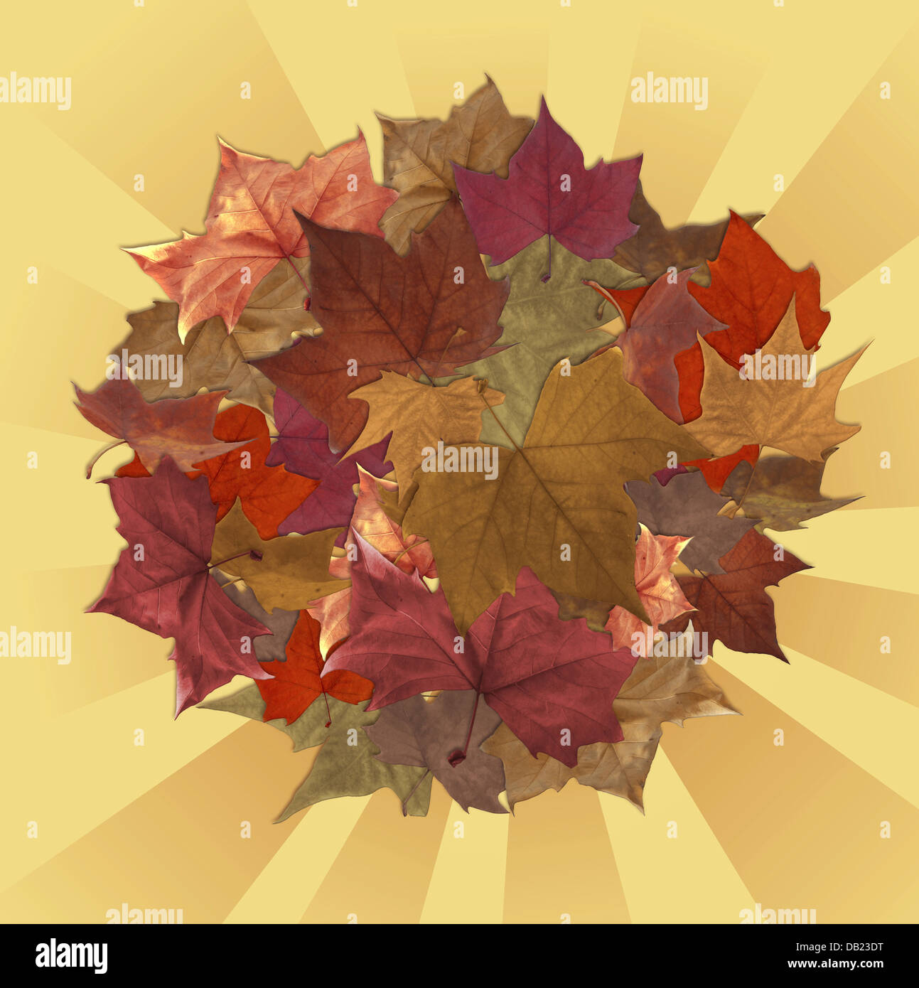 Autumn leaves circle with striped background Stock Photo
