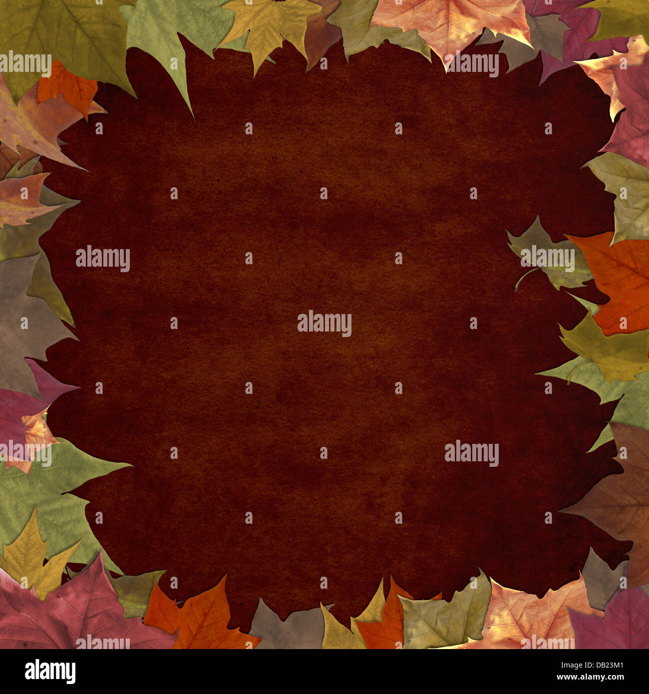 Autumn leaves grunge frame background Stock Photo