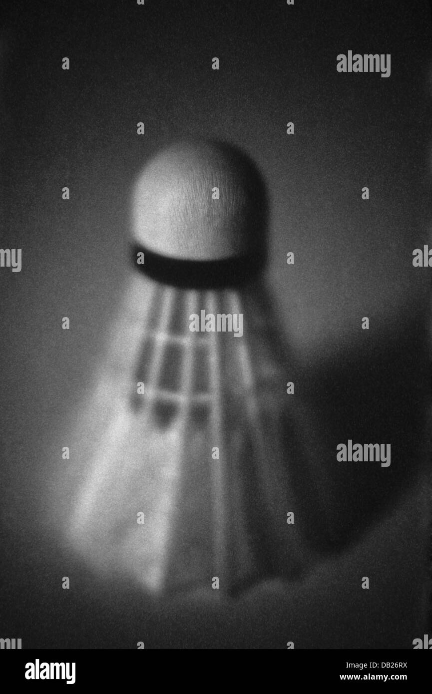 Black and White Feather Shuttlecock, Bird, Birdie, Bad, badminton ©mak