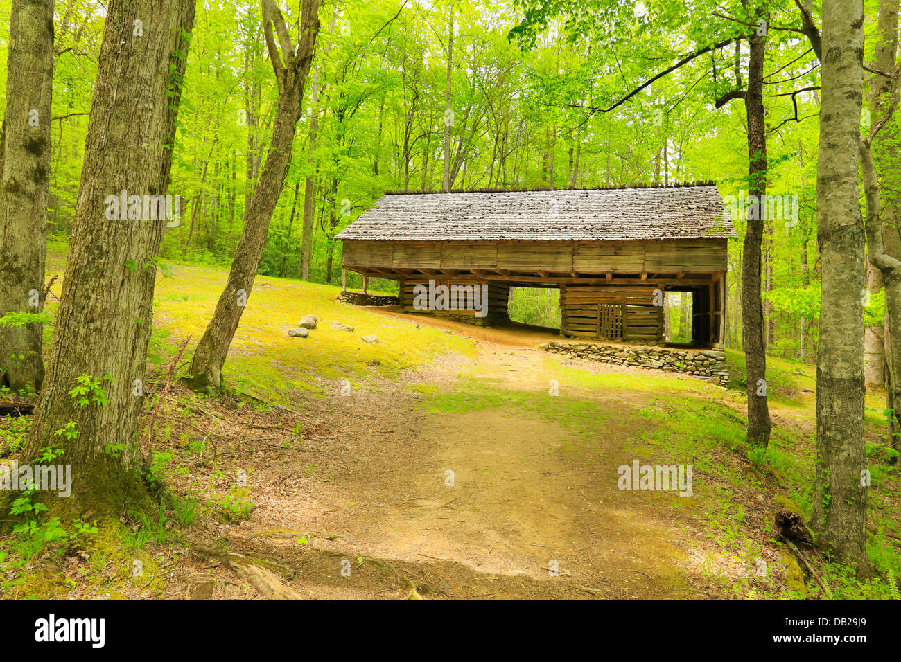 John Messer Farm, Porters Creek Trail, Greenbrier Area, Great Smoky