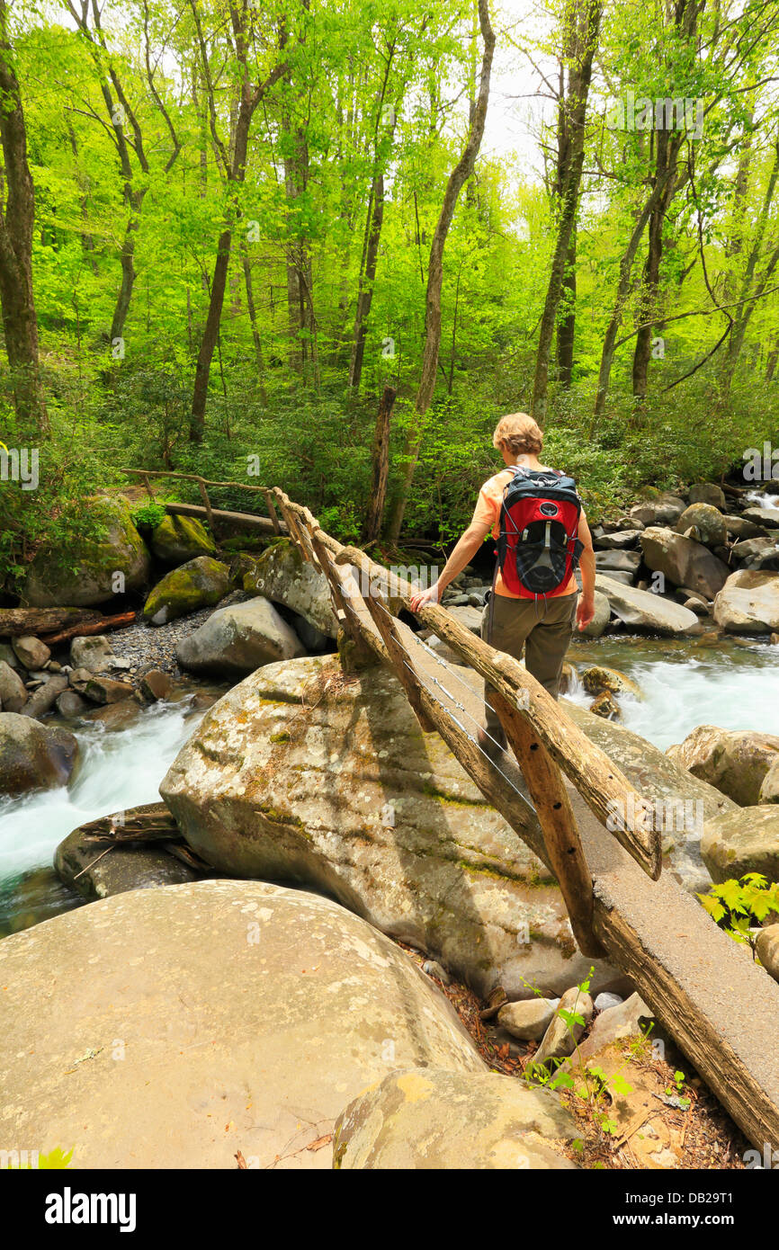 Footbridge Over Porters Creek, Porters Creek Trail, Greenbrier Area