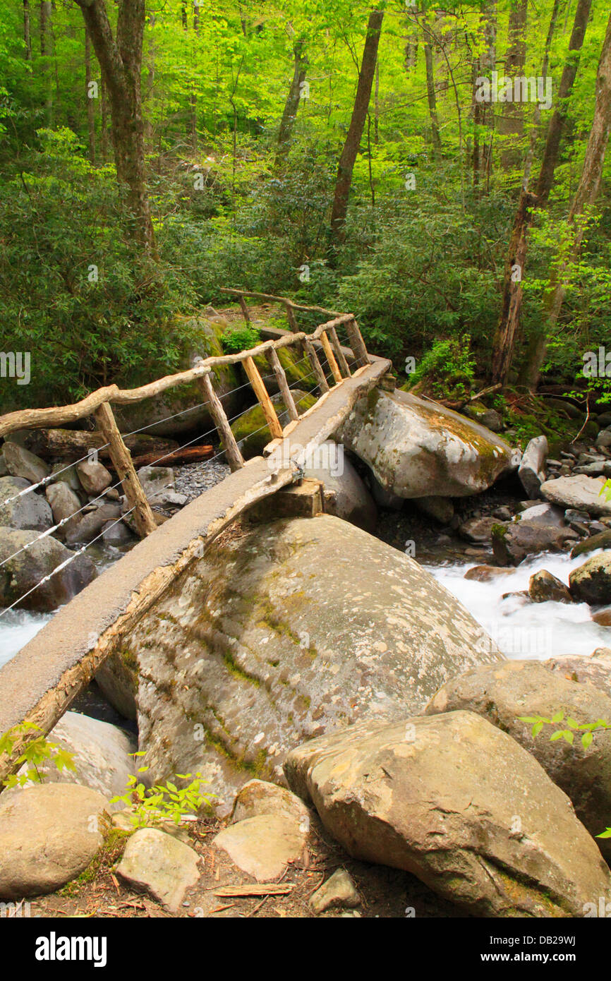 Footbridge Over Porters Creek, Porters Creek Trail, Greenbrier Area, Great Smoky Mountains National Park, Tennessee, USA Stock Photo