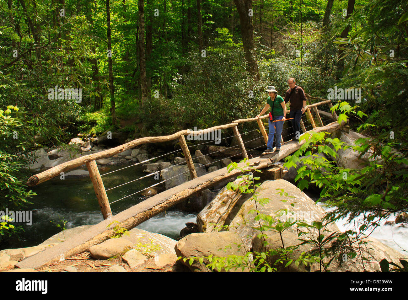 Footbridge Over Porters Creek, Porters Creek Trail, Greenbrier Area
