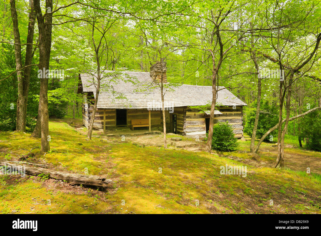 Smoky Mountain Hiking Club Cabin, Porters Creek Trail, Greenbrier Area
