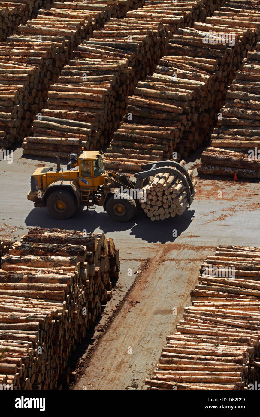 Dunedin new zealand log timber hires stock photography and images Alamy