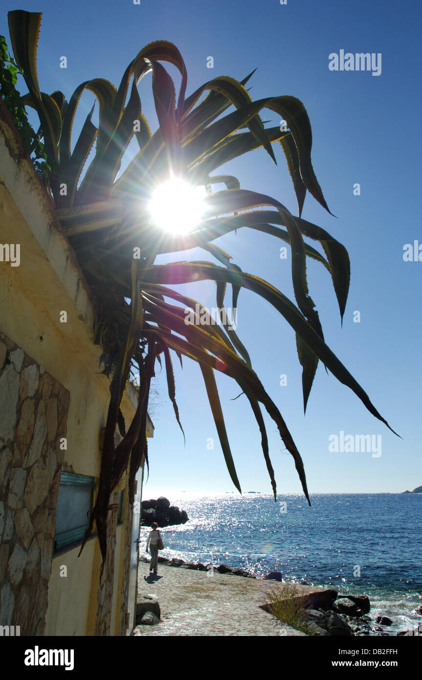 The picture shows the nice weather