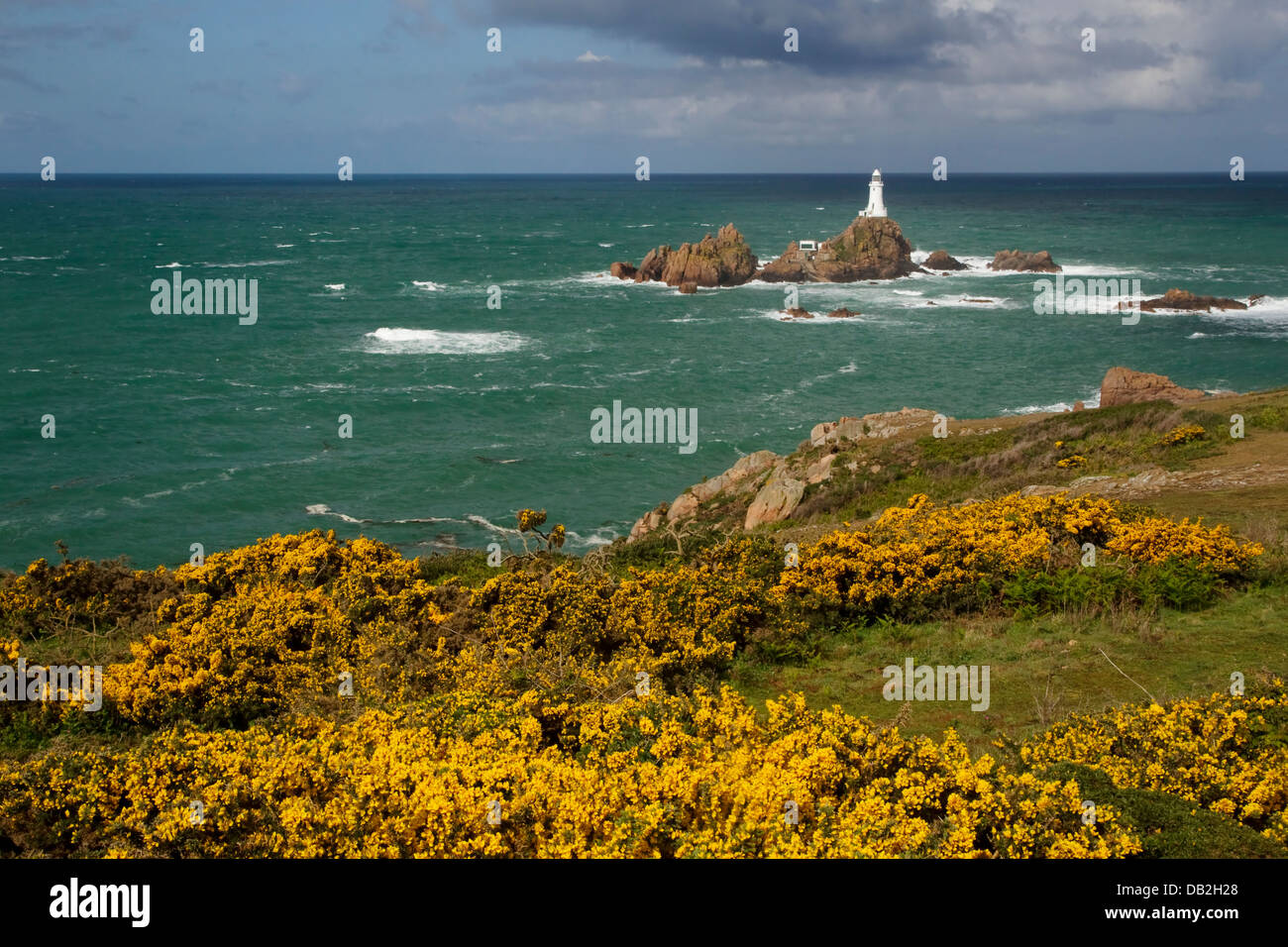 Corbiere Lighthouse with Gorse in foreground Jersey Channel Islands, UK LA005928 Stock Photo