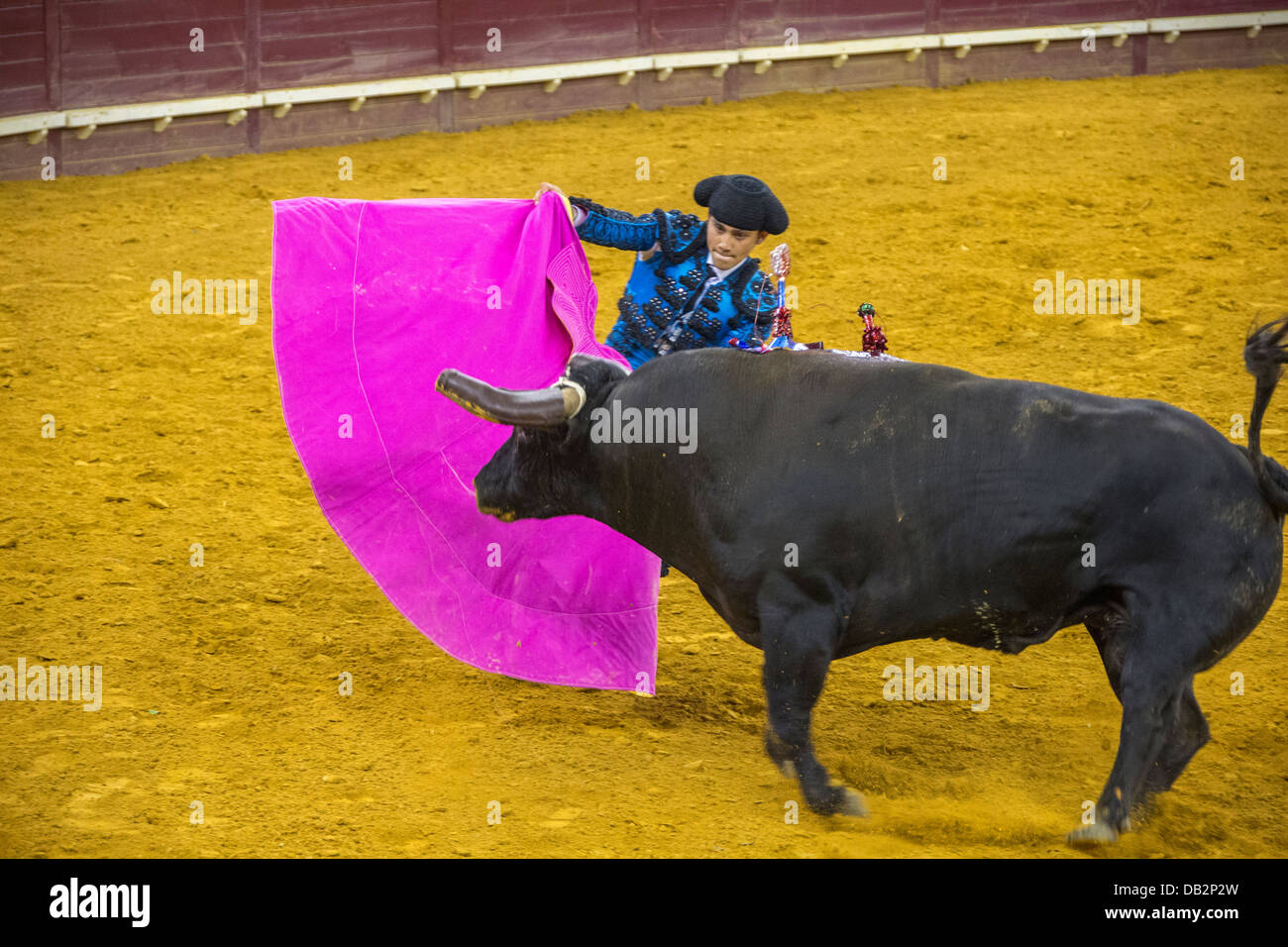 Bullfight at Campo Pequeno, Lisboa, Portugal Stock Photo Alamy