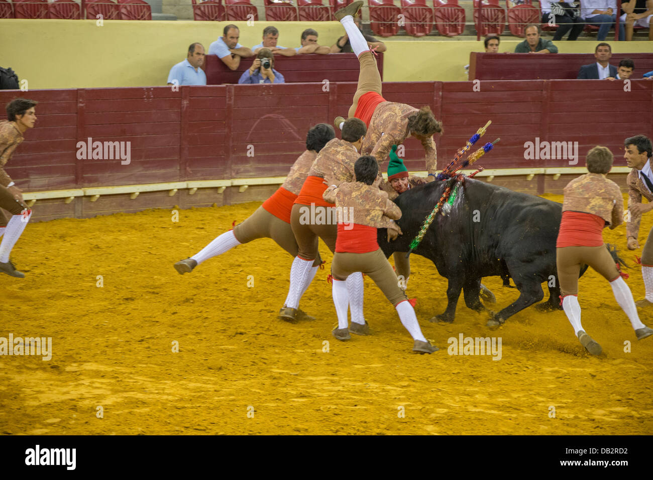 Bullfight at the Campo Pequeno, Lisboa, Portugal Stock Photo Alamy