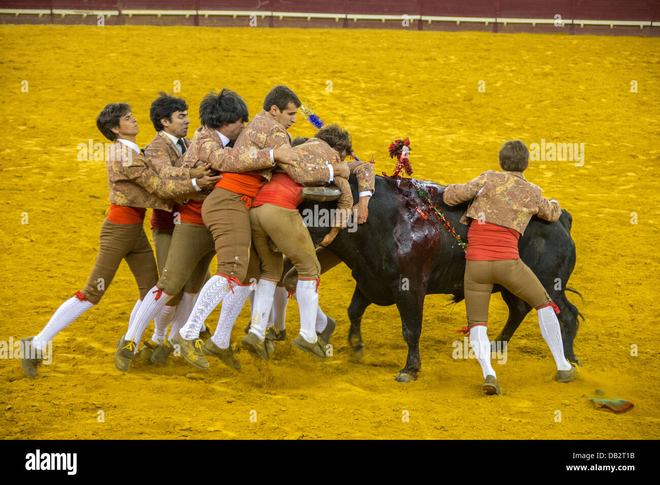 Bullfight at the Campo Pequeno, Lisboa, Portugal Stock Photo Alamy