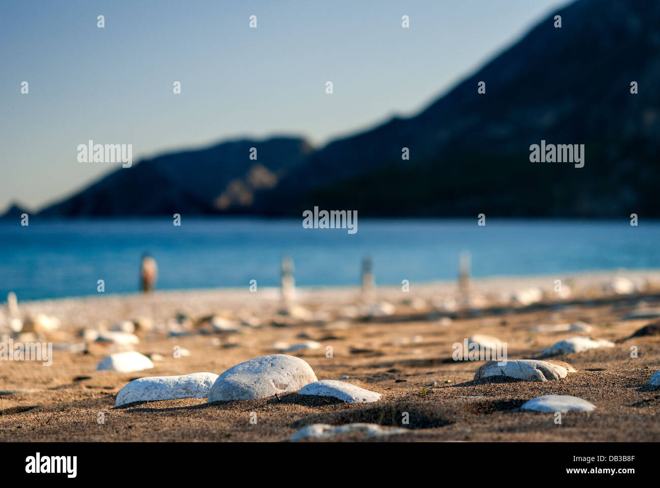 Close up view sandy pebble hi-res stock photography and images - Alamy