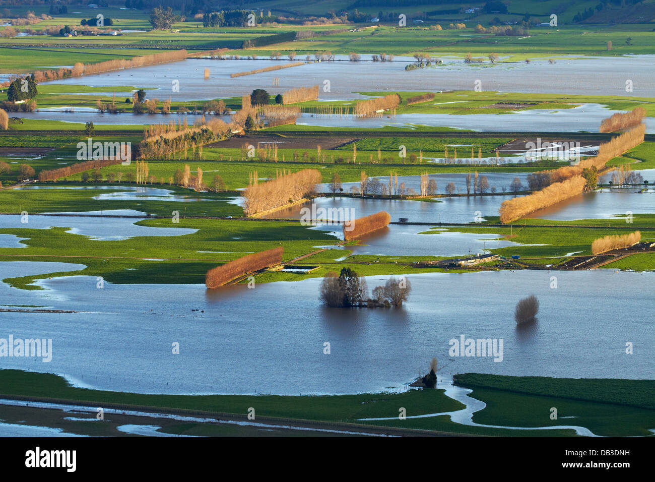 Flooded farmland on Taieri Plains, near Mosgiel, Dunedin, South Island