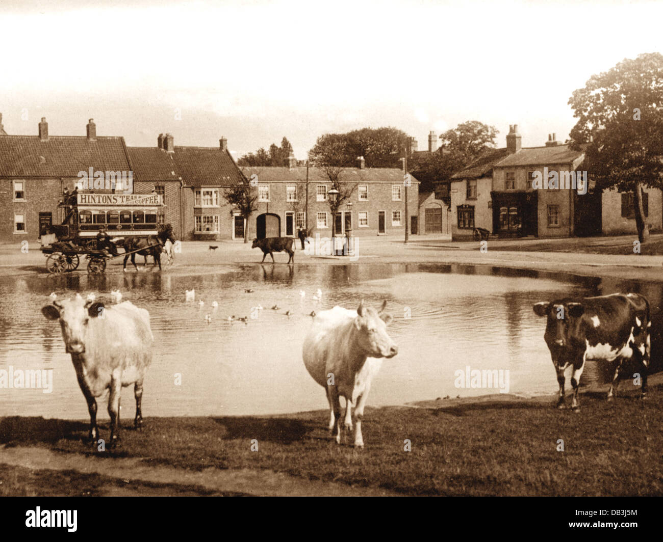 Norton StocktononTees early 1900s Stock Photo 58472448 Alamy