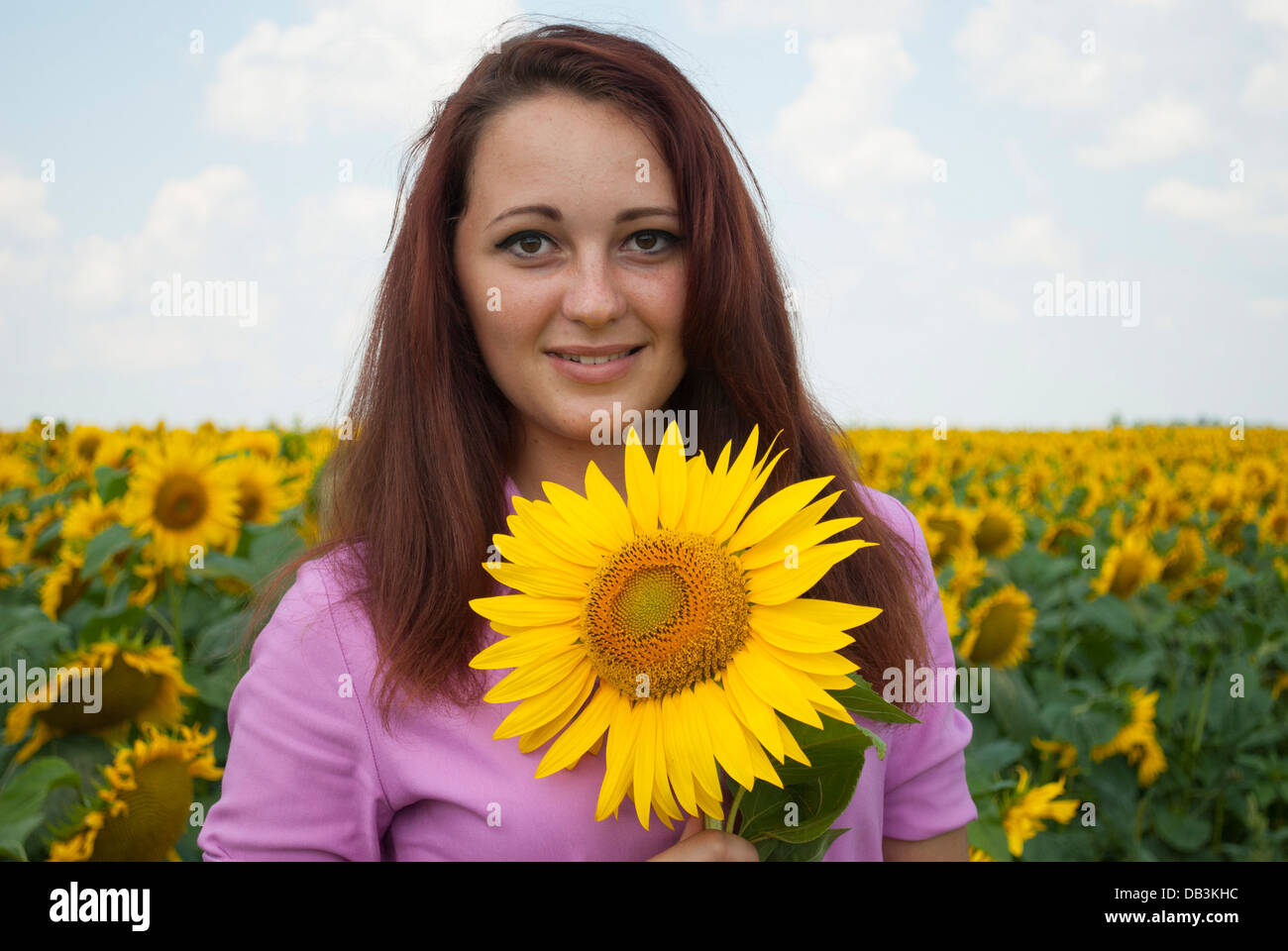 Beautiful girl in a field of sunflowers Stock Photo - Alamy