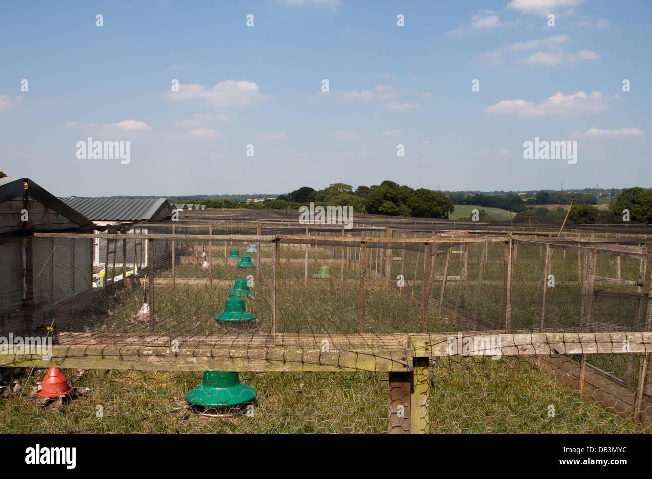 Pheasant breeding pens on a private shooting estate. Stock Photo