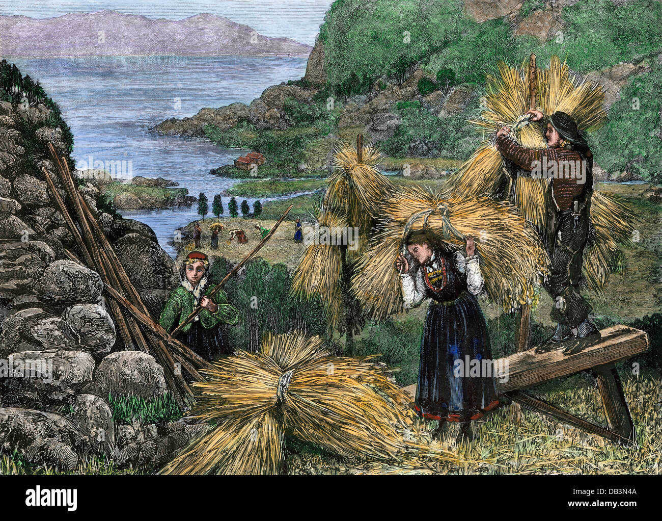 Harvesting a mountain field in Norway, 1880s.  Hand-colored woodcut Stock Photo