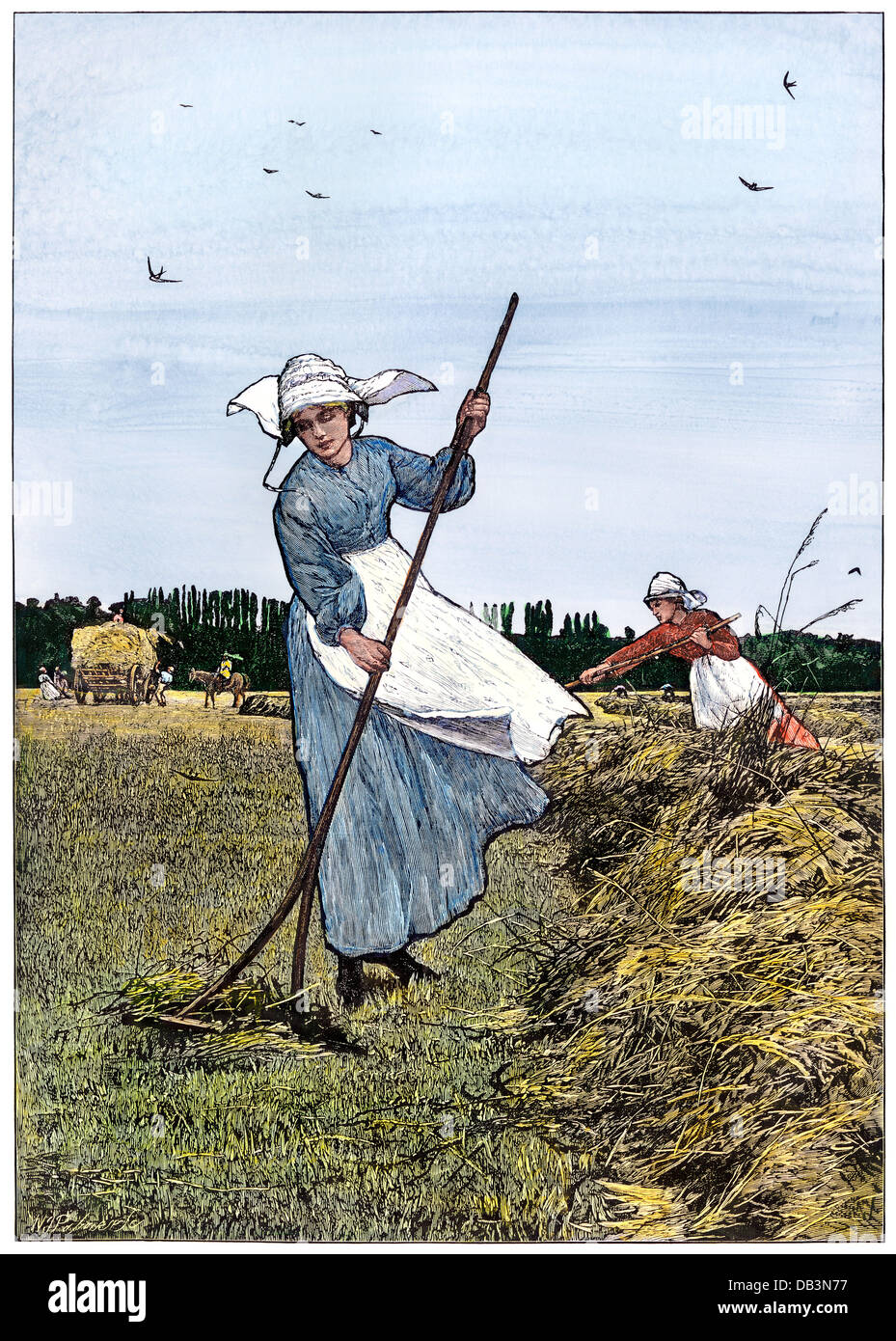 Haymaking in rural England, 1870s.  Hand-colored woodcut of a Lionel Smith illustration Stock Photo
