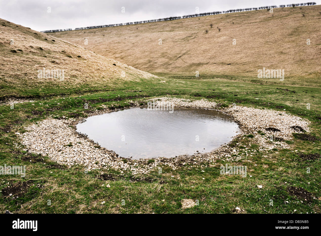 A dew pond in the dry chalk valley of Thixen Dale in the East Riding of Yorkshire Wolds, UK. Stock Photo