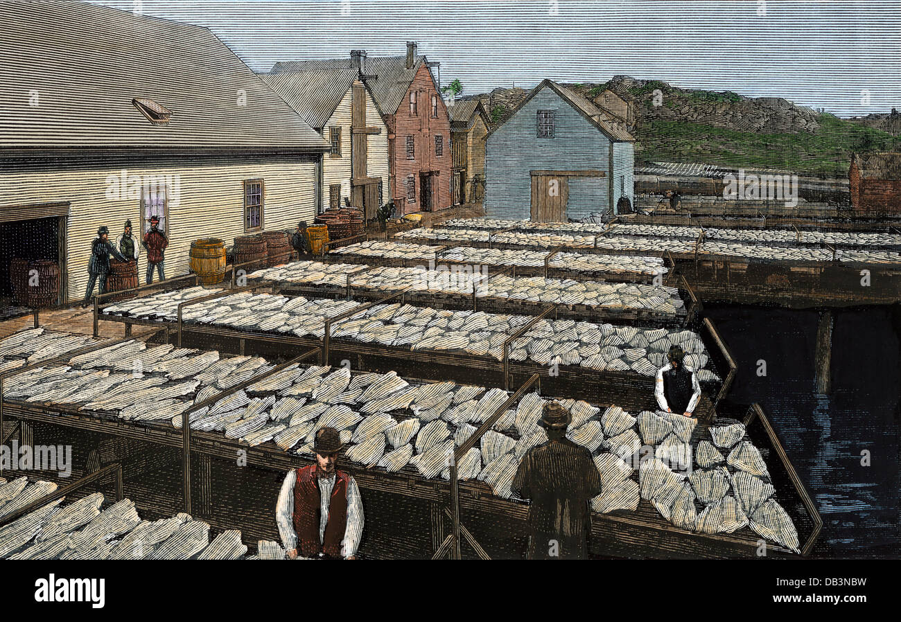 Drying fresh-caught halibut, Gloucester MA, 1880s.  Hand-colored woodcut from a photograph Stock Photo