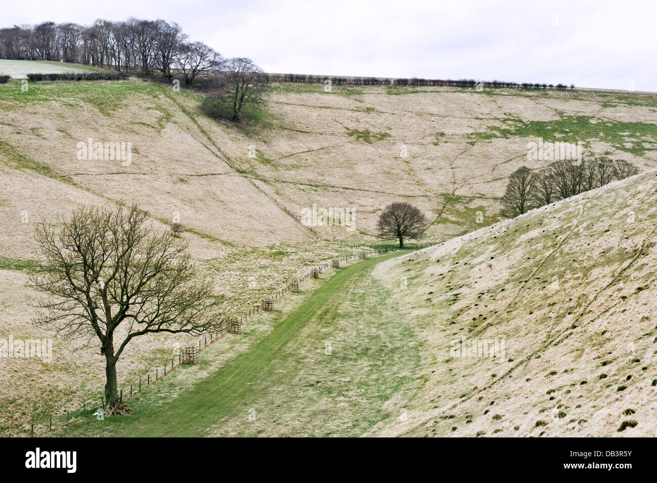 The dry chalk valley of Thixen Dale in the East Riding of Yorkshire Wolds, UK. The Yorkshire Wolds Way runs along the bottom. Stock Photo