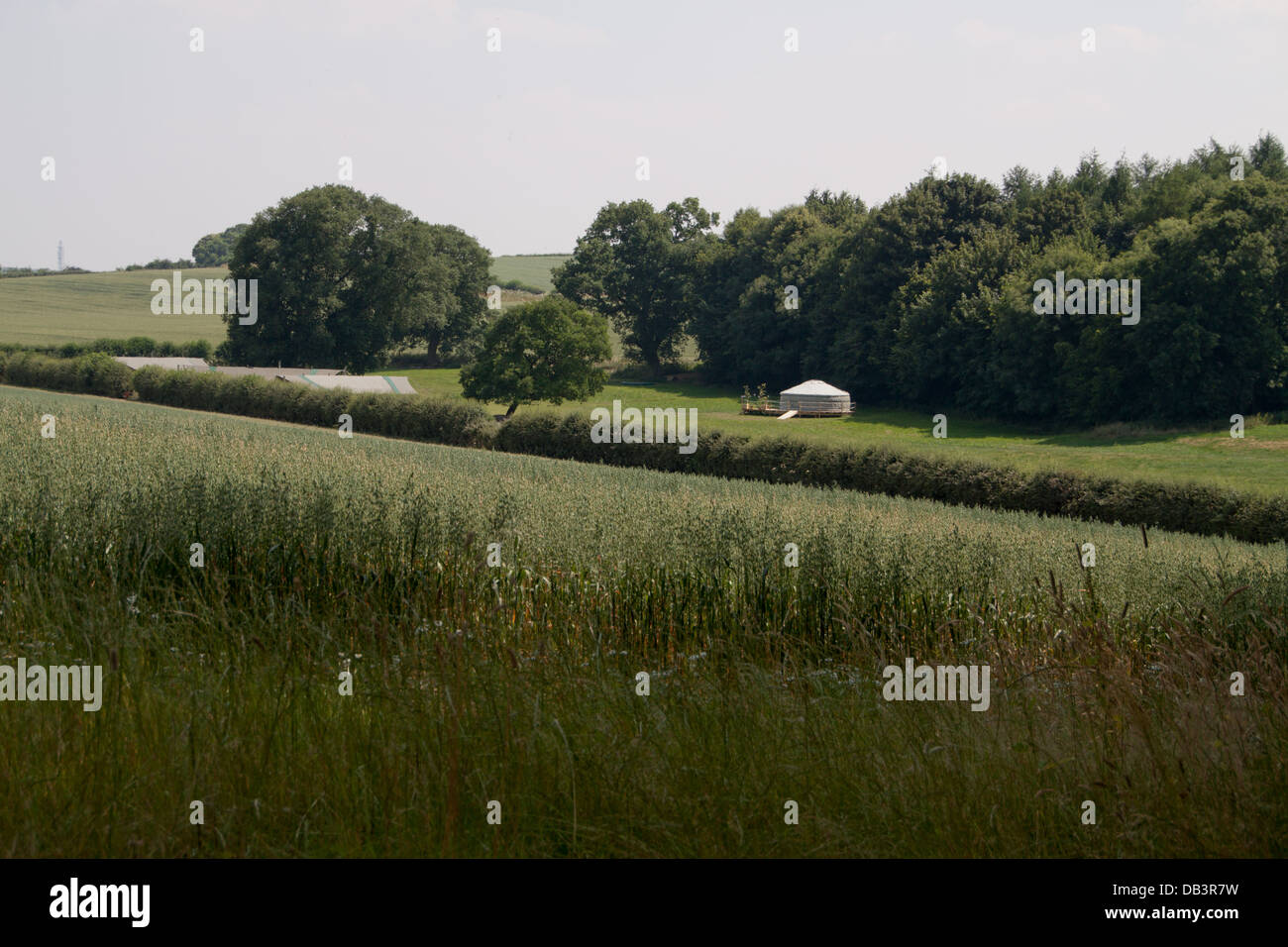 glamping-in-english-posh-camping-at-the-bereleigh-estate-east