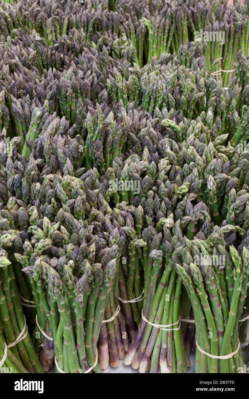 Purple asparagus for sale on Union Square greenmarket, New York City Stock Photo