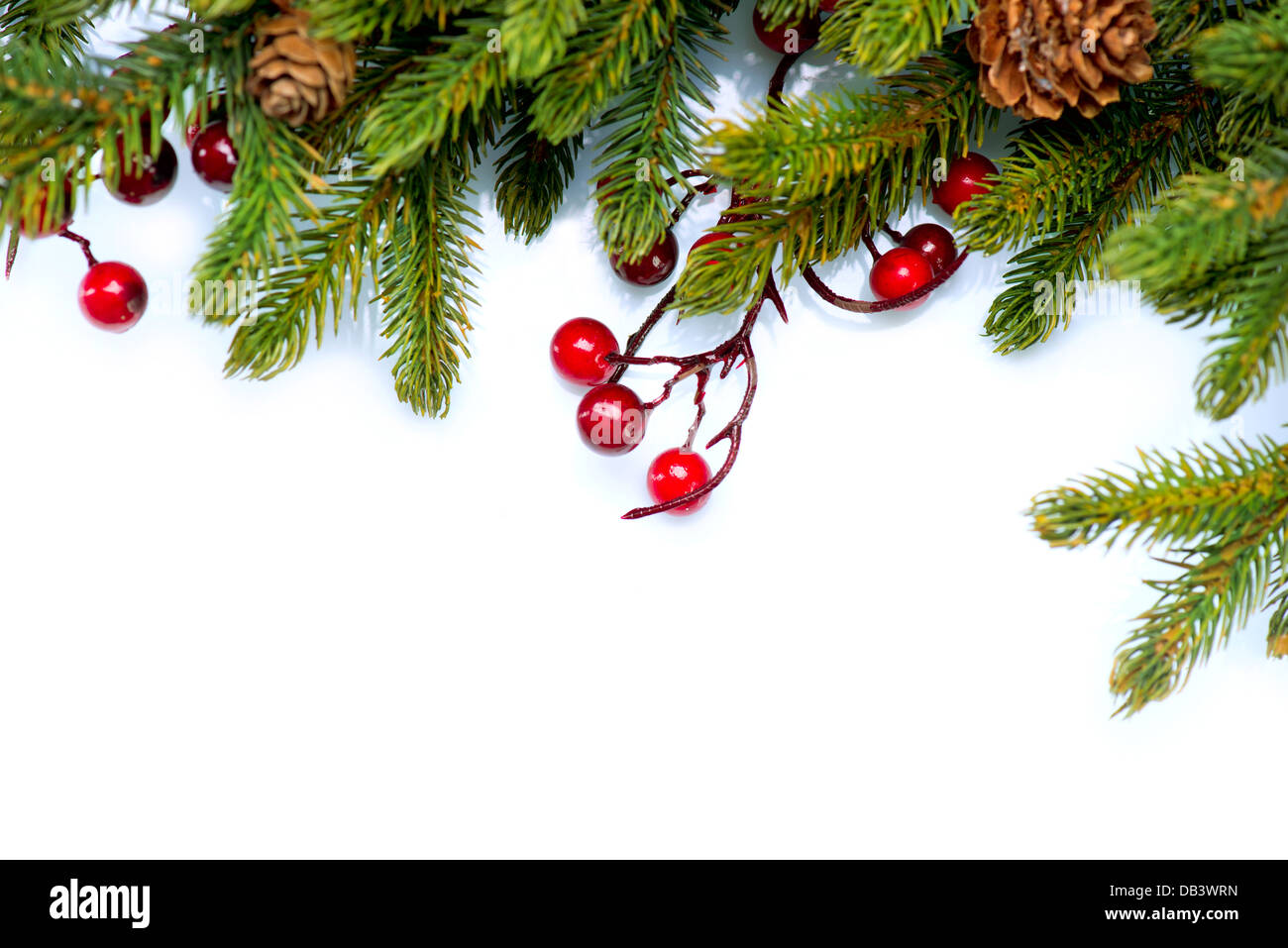 Christmas Tree Border Design Isolated on white Stock Photo - Alamy