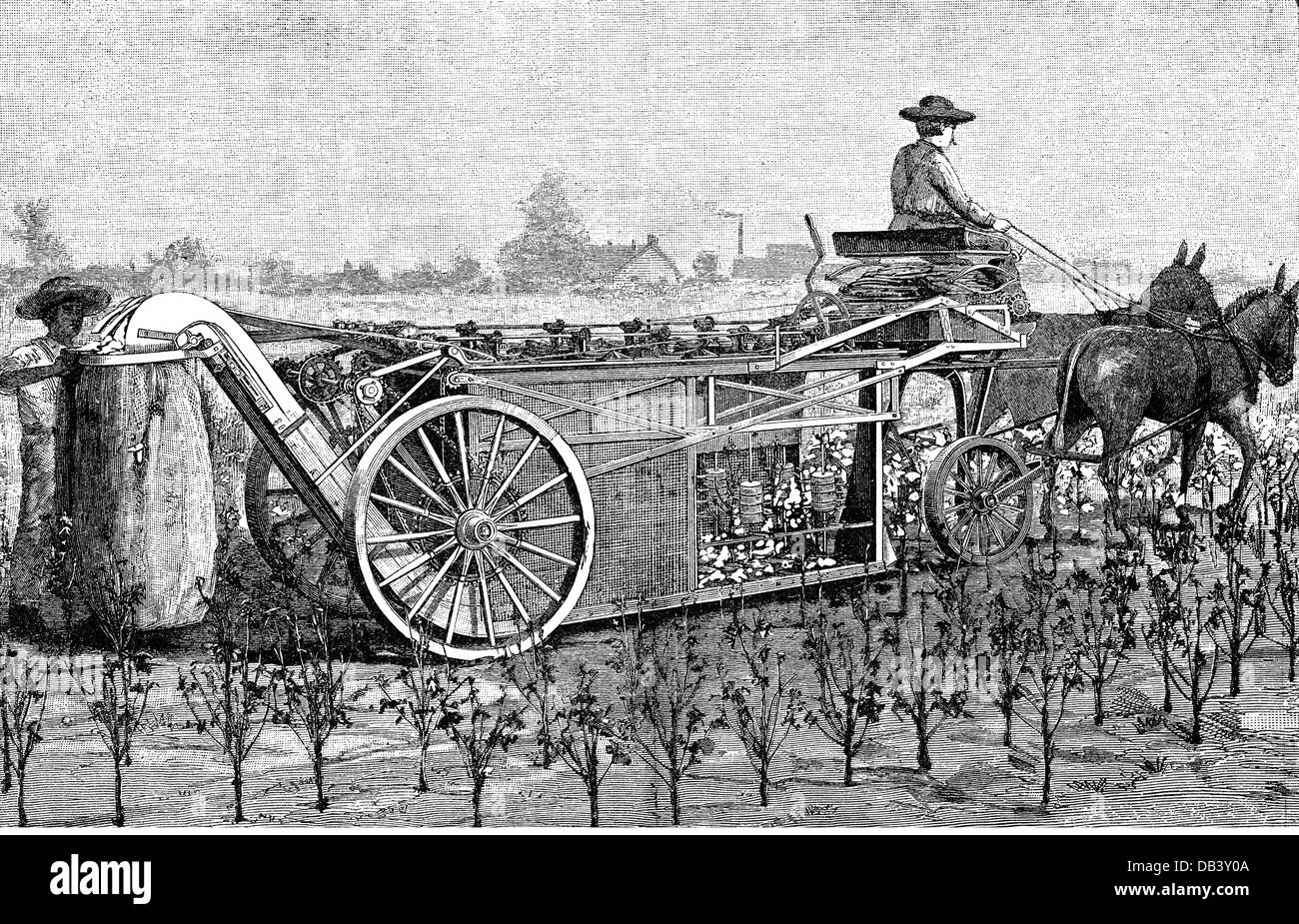 agriculture machines, harvester for cotton, USA, wood engraving, from: 'Scientific American', late 19th century, Additional-Rights-Clearences-Not Available Stock Photo