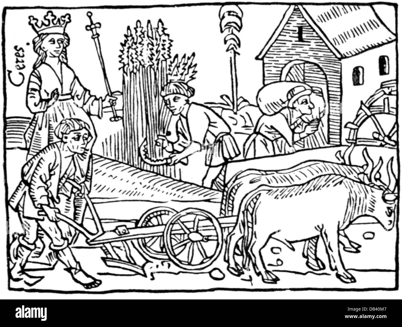 agriculture, agricultural work, plowing and mowing, observed by the goddess Ceres, woodcut, Ulm, 1473, Additional-Rights-Clearences-Not Available Stock Photo