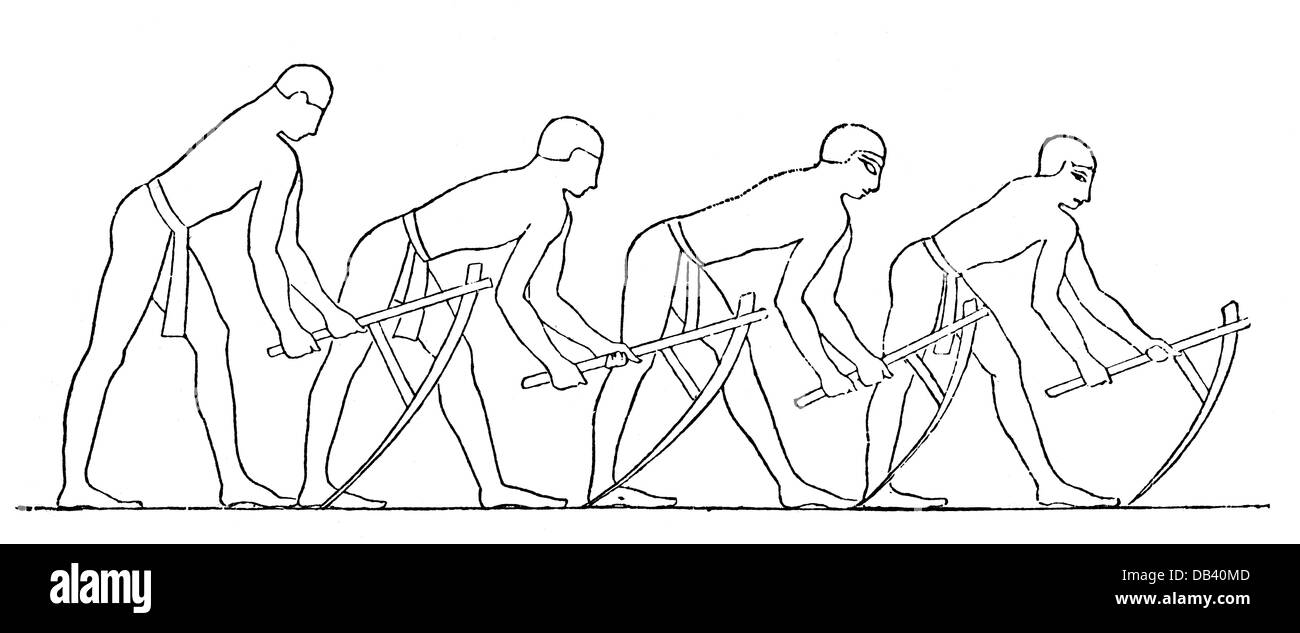 agriculture, agricultural work, farmers working on the ground with hoes, drawing, 19th century, after mural, Beni Hassan, Egypt, 12th Dynasty (circa 1994 - 1781 BC), Middle Kingdom of Egypt, people, hoe, hack, hackiron, hoes, hacks, tool, tools, field work, fieldwork, field, fields, labour, labor, working, work, labouring, laboring, labour, labor, men, man, prehistory, prehistoric times, historic, historical, clipping, clippings, cut-out, cut-outs, ancient world, Additional-Rights-Clearences-Not Available Stock Photo