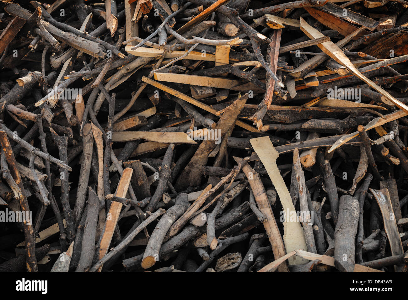 Firewood used in the Indian desert, for cooking Stock Photo Alamy