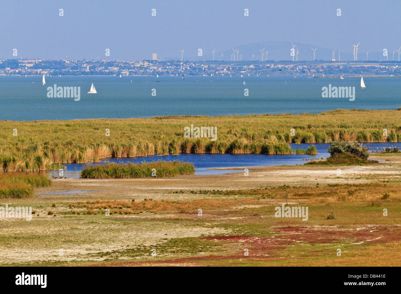 Reed Belt Landscape in National Park (Lake Neusiedl / Seewinkel), Austro-Hungarian Border Stock Photo