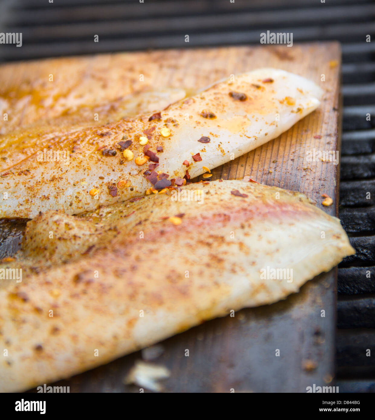 Seasoned, grilled whitefish Stock Photo - Alamy