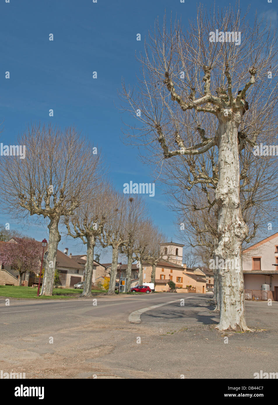 ACTUALIT R CENTE DU 71 visual data 3