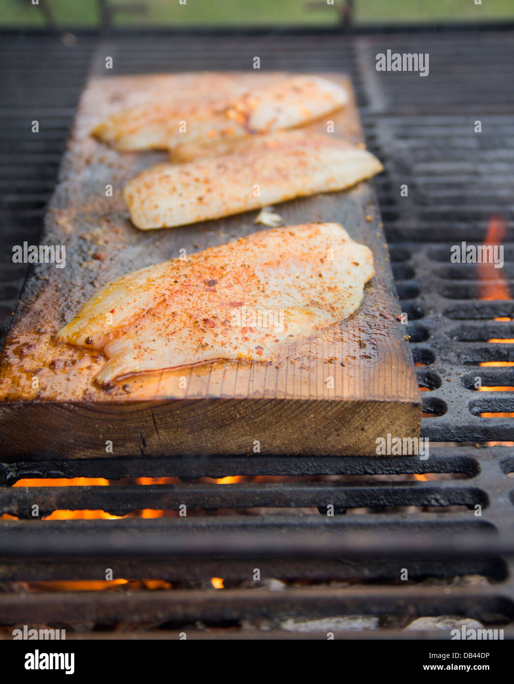 Cooking fish with a cedar plank Stock Photo Alamy