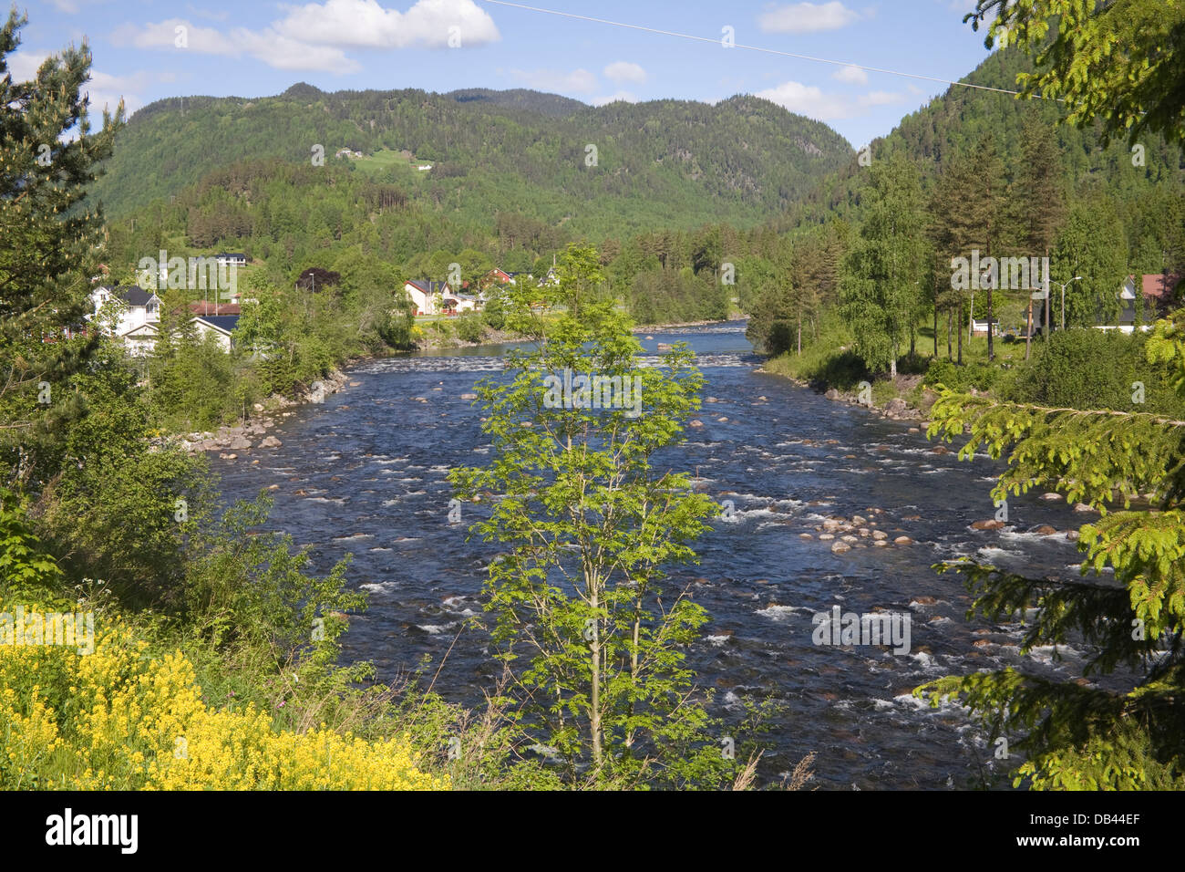 Dalen Telemark Norway Europe View along River Tokke outside town popular for outdoor activities Stock Photo