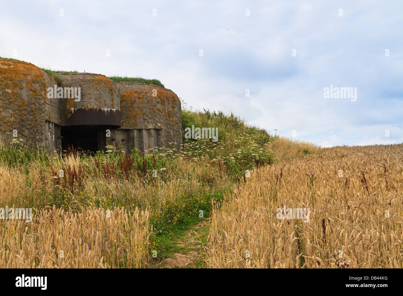 Old German bunker in Normandy, Second World War, France Stock Photo