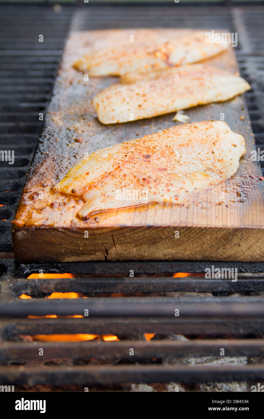 White fish on a cedar plank grill Stock Photo Alamy