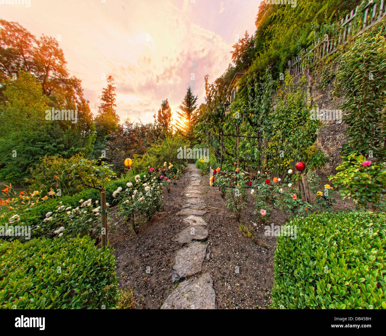 DE - BAVARIA: Traditional Bavarian Rose Garden at Sunset Stock Photo