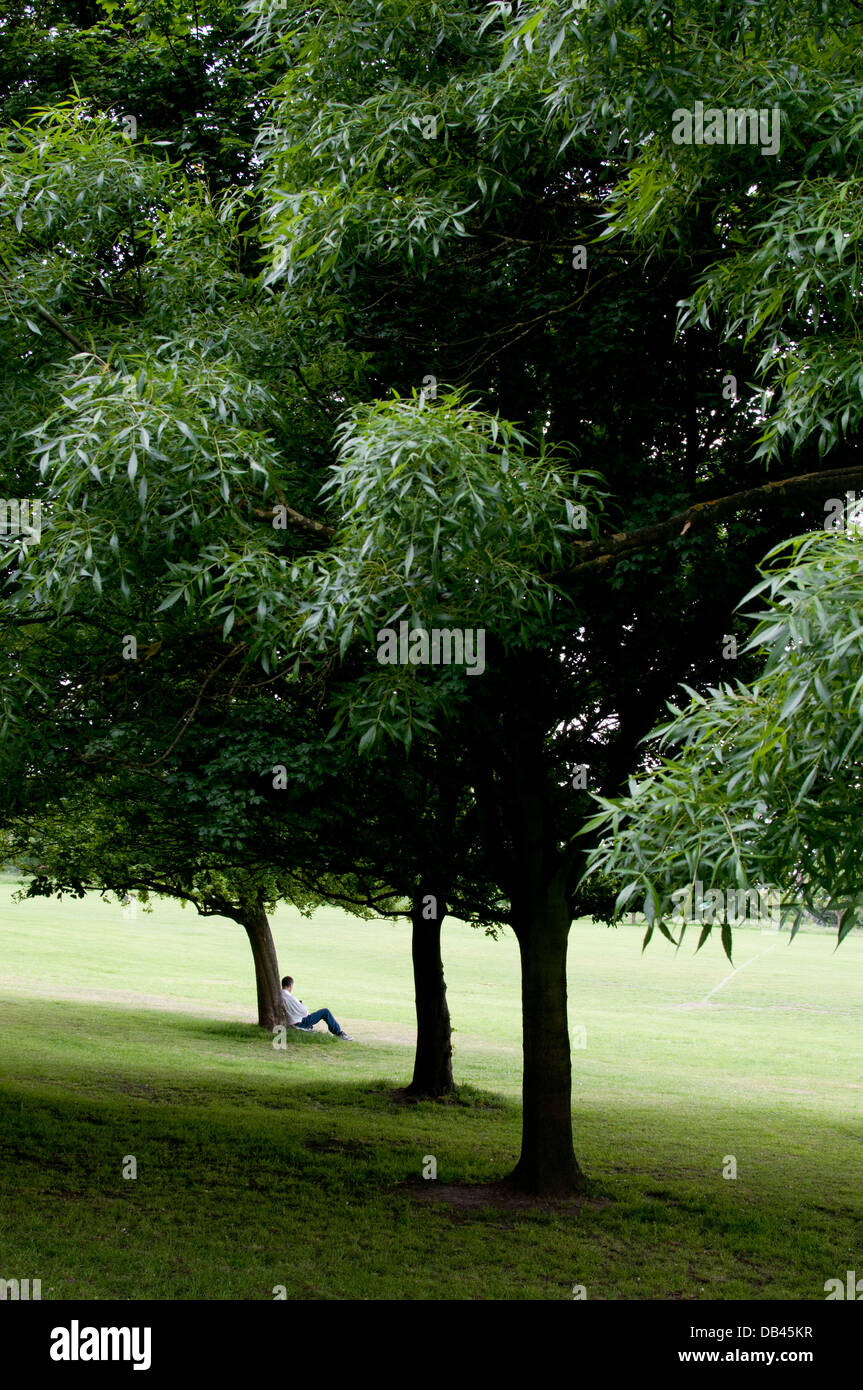 Man under tree on Primrose Hill Stock Photo