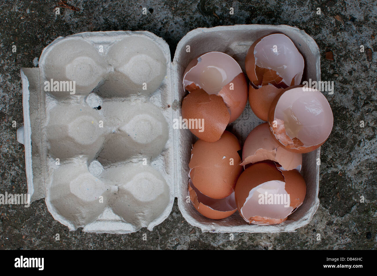 eggshells in a box Stock Photo